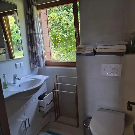 Apartament Singer-hof