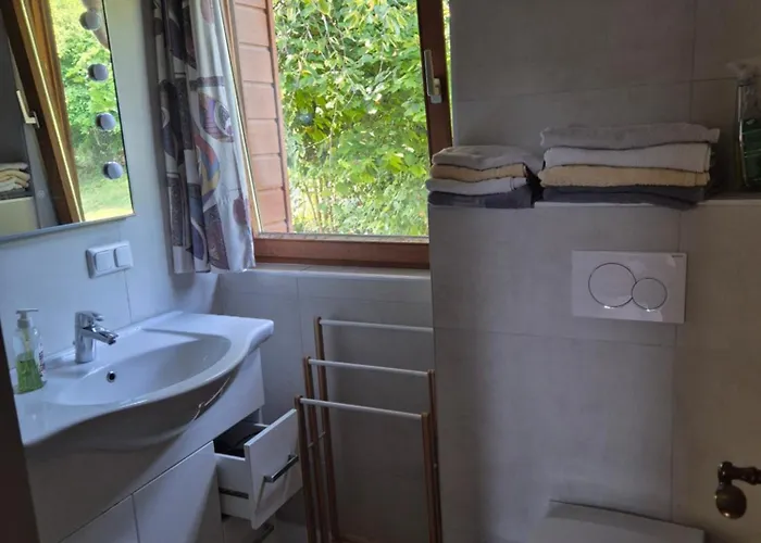 Apartament Singer-hof